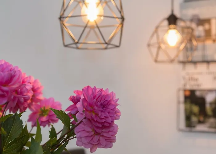 Annadora House - Private Parking 잔드보르트